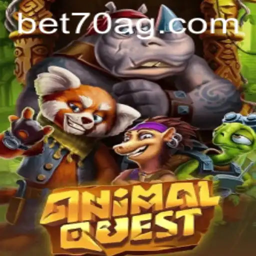 bet70 Casino App